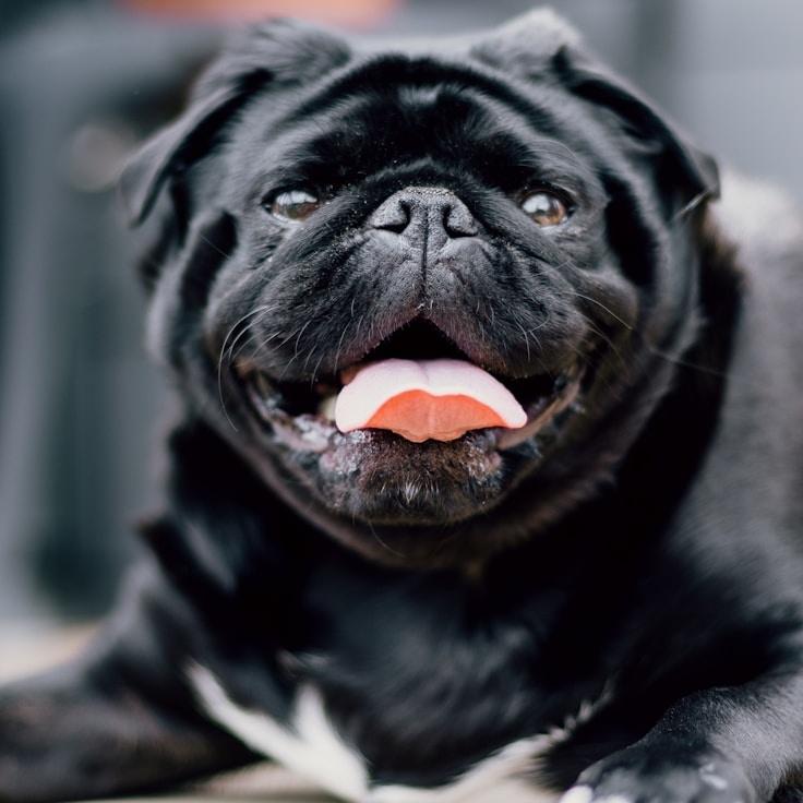 Emma De Vries - Founder of Rustic Cloud Path